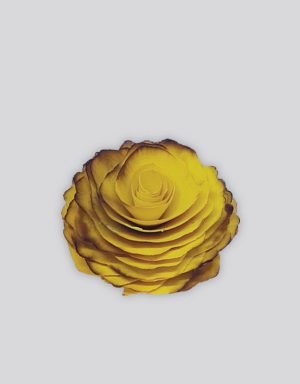 Flor de Madeira para Aromatizar Ambiente